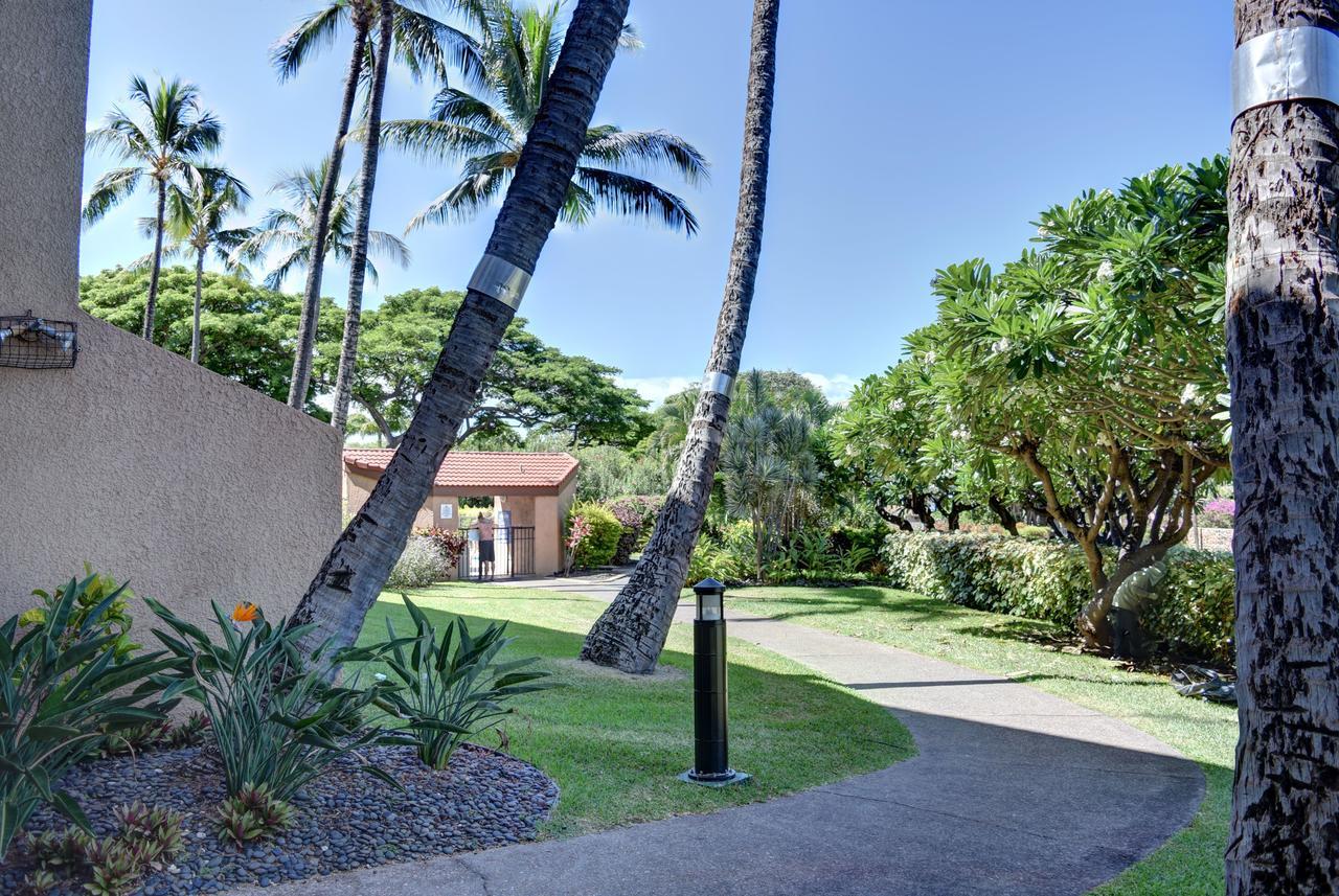 Maui Vista 1114 Leilighet Kihei Eksteriør bilde